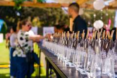 12_01_35_PnPWFF_CT_01130-1