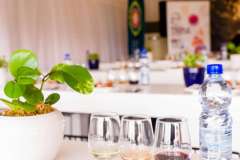 12_18_45_PnPWFF_CT_02507