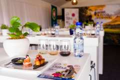 12_18_49_PnPWFF_CT_02508