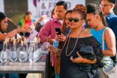 12_22_40_PnPWFF_CT_01883