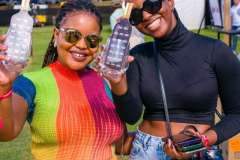 12_25_39_PnPWFF_CT_01169