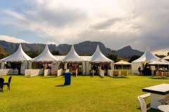 12_41_39_PnPWFF_CT_01207