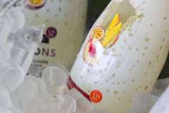 12_43_43_PnPWFF_CT_01216