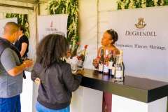 12_54_39_PnPWFF_CT_01220