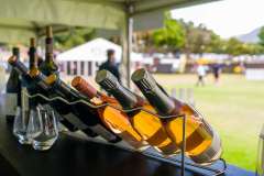 12_56_11_PnPWFF_CT_01227