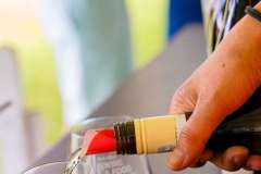 12_56_51_PnPWFF_CT_01230