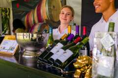 12_59_11_PnPWFF_CT_01237