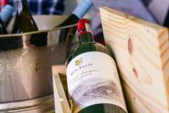 12_59_34_PnPWFF_CT_01238