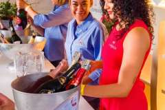 14_15_36_PnPWFF_CT_01460