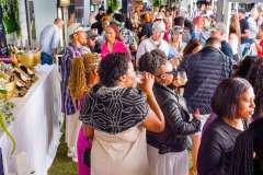 14_16_51_PnPWFF_CT_01481