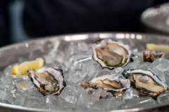 14_23_32_PnPWFF_CT_01984