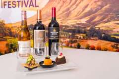 14_24_01_PnPWFF_CT_02634