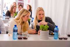 14_38_45_PnPWFF_CT_02649