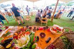 15_28_54_PnPWFF_CT_01584